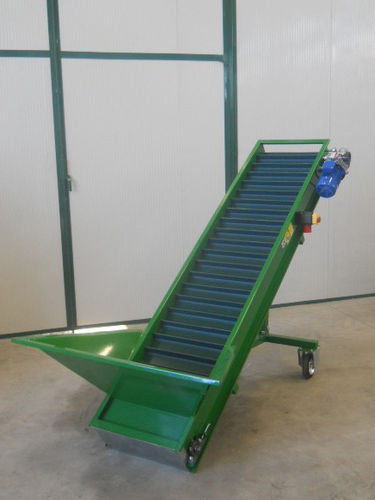 Nuts conveyor - MAQUINARIA AGRICOLA SEGUES, SL - belt / vertical