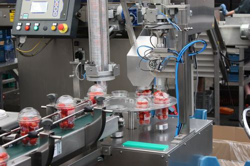 Filler horticulture production line - Cup - Koppert Machines - automatic