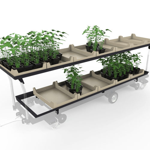 Plastic transport tray - Bogaerts - rectangular