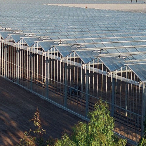 Venlo greenhouse - Richel serre - glass