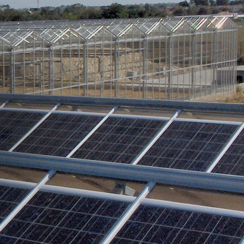Venlo greenhouse - Richel serre - glass / with solar panel