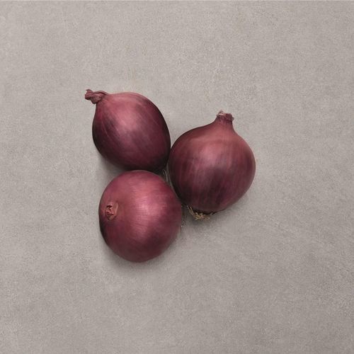 Hybrid onion seed - RED CARPET F1 - Bejo Zaden B.V.