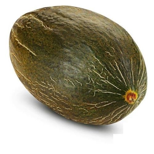Late melon seed - Tendral Verde - Seeds by Design - annual / hybrid / white flesh