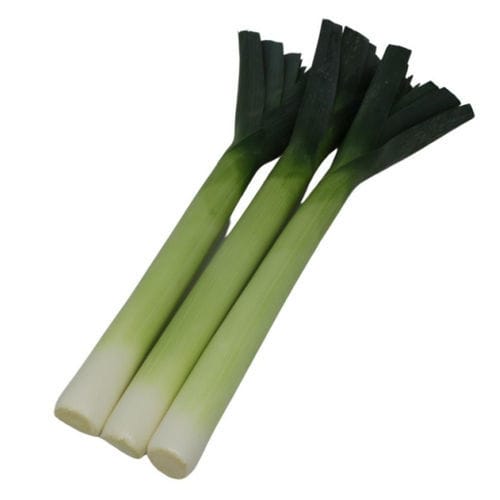 Early leek seed - Oxford F1 - Tozer Seeds Ltd - hybrid
