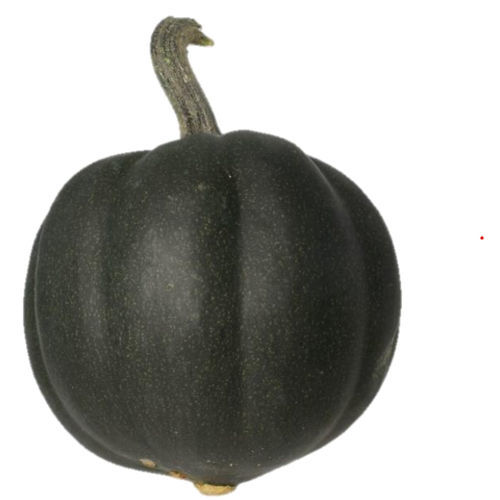 Early pumpkin seed - Honey Bear F1 - Tozer Seeds Ltd - hybrid / green