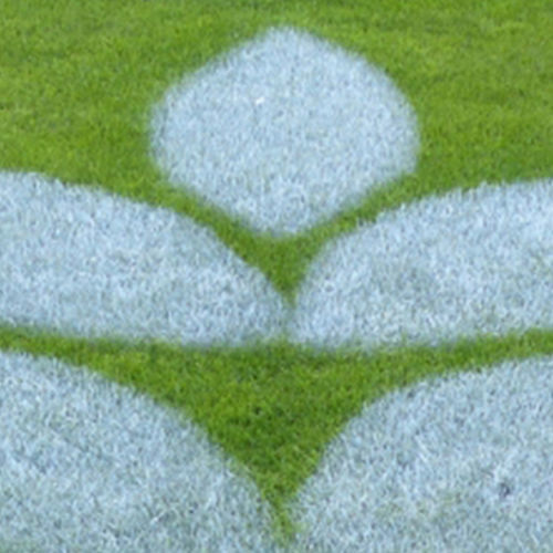 Seed turf - EG PRO  - DSV UK