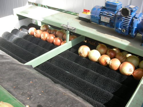 Potato crop cleaning machine - Tong Engineering - onion / bulb / brush