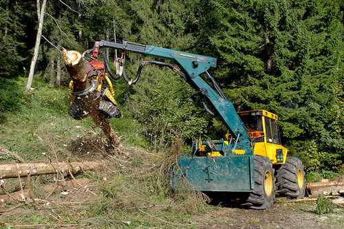 Forestry skidder with grab - 904ZL - HSM Hohenloher Spezial-Maschinenbau - self-propelled / with grab