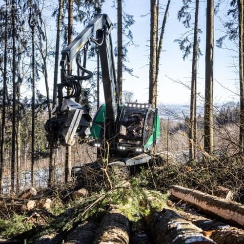 Tracked forestry harvester - 264HVT - Neuson Forest GmbH - with crane / slope