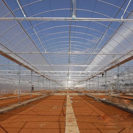 Multi span greenhouse - Sunmax Greenhouse Technology Co., Ltd. - gardening / glass