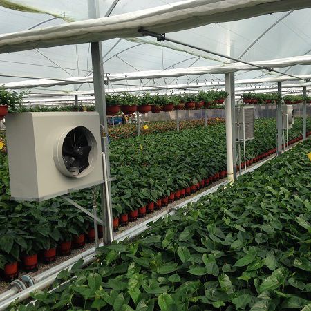 Hot water boiler - Sunmax Greenhouse Technology Co., Ltd. - for greenhouse