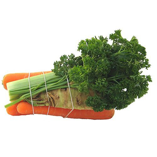 Stationary bundling machine - Cyklop - Pack TTI  / Weber Cooling - for herbs / for vegetables