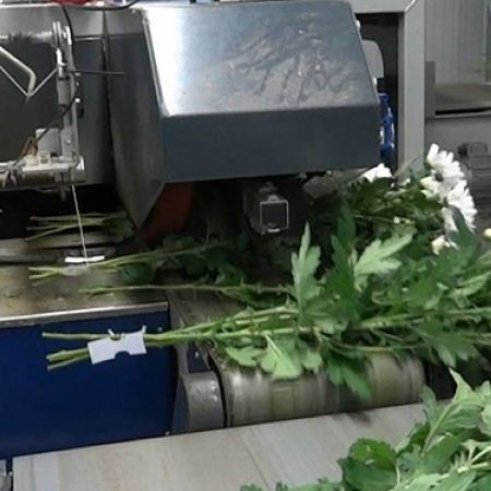 Automatic labeling machine - Cyklop - Pack TTI  / Weber Cooling - with printer