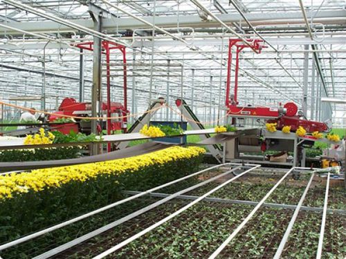 Flower harvesting belt - BTM T124 - Pack TTI  / Weber Cooling - self-propelled