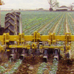Mounted row crop cultivator - 2040  - Alloway Standard Industries, Inc. - weeding / fixed / for tomatoes