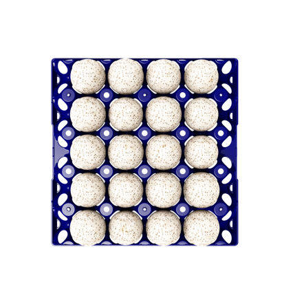 Transport egg tray - Duck - Turkey Egg Tray 20 Eggs  - GI-OVO B.V. - for duck eggs / for turkey eggs / plastic