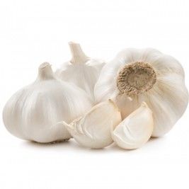 Early bulb vegetable seed - Garmach - biological