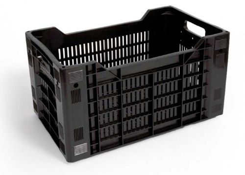 Vegetable box - EUROFRIGO - Pentaplast - fruit / plastic
