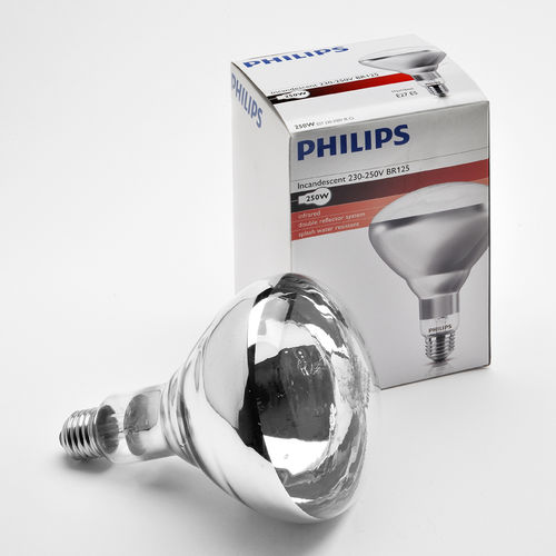 Piglet heating lamp - 170 BP - ferrzootecnia - infrared