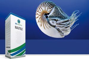 Sugar beet seed - NAUTILE - SesVanderHave - rhizomania resistant / cercosporiosis resistant