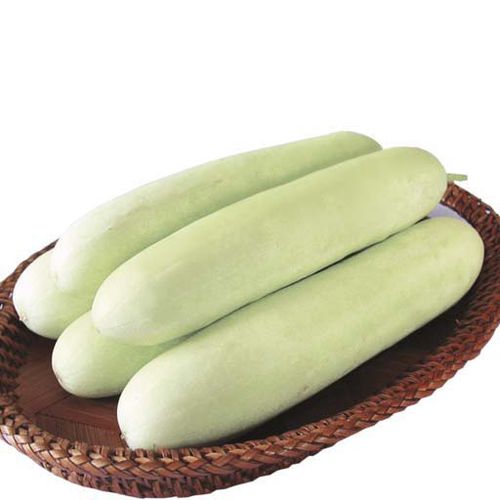 Hybrid cucumber seed - Sayali F1 - eastwestseed