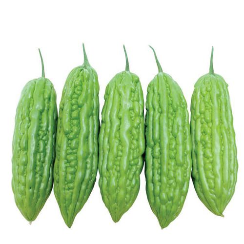 Very early bitter gourd seed Benqiang F1 eastwestseed green / hybrid