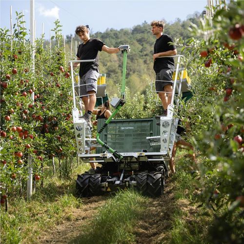 Horticulture harvest trolley - BERGLADY - Frucotec - orchard / for