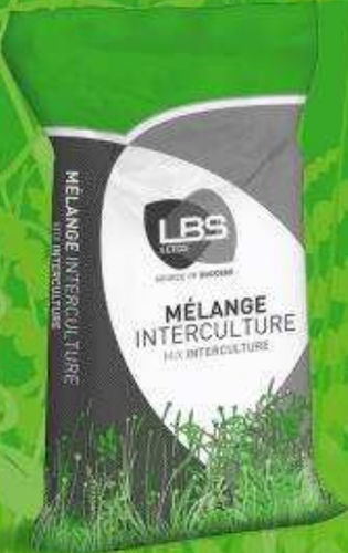 Mustard fodder - CIPAN’Vit - lbs-seeds - nitrogen restoration / soil structure / nitrate-fixing intermediate crops