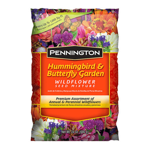 Annual floral seed - HUMMINGBIRD - pennington - perennial / mix of colors / for garden
