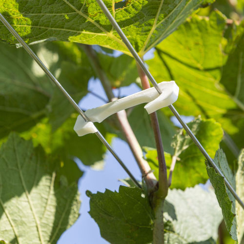 Vineyard fence staple - SGR135PLA - LaCruz S.r.l.