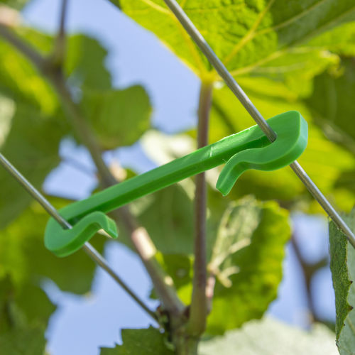 Biodegradable fence staple - SGR063B - LaCruz S.r.l. - vineyard