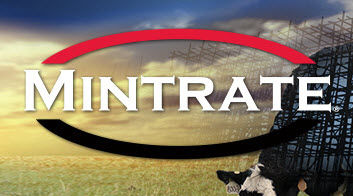 Animal feed supplement - Mintrate® - admanimalnutrition - cattle / mineral / protein