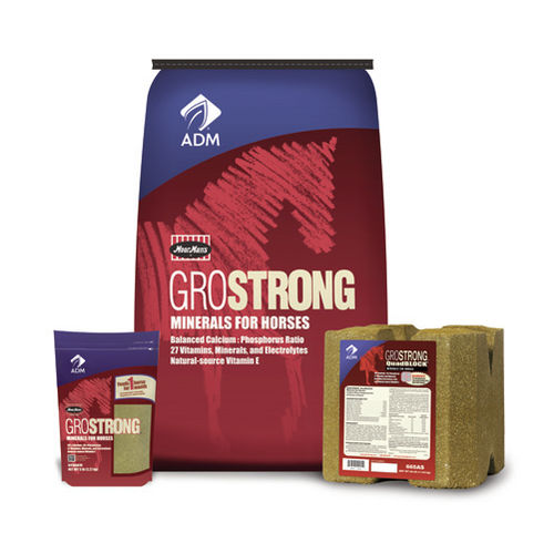 Horse lick block GROSTRONG Minerals block admanimalnutrition with