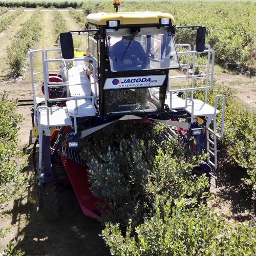 blueberry harvester machine - JAGODA JPS Agromachines