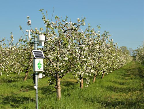 Wind speed weather station - Meteobot® Pro - Prointegra Ltd. - relative humidity / wind direction / precipitation