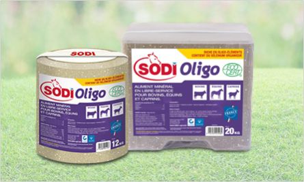 Cattle lick block - SodiOligo - salins-agri - goat / for horses / with trace elements