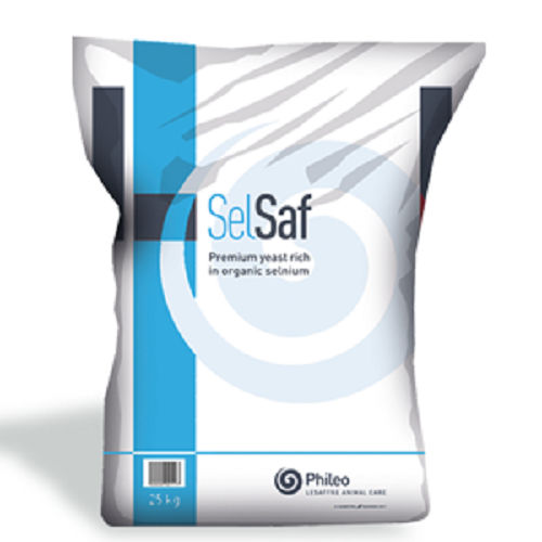 Animal feed supplement - Selsaf® - phileo-lesaffre - cattle / poultry / for horses