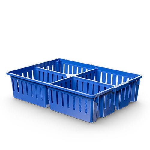 Chick transport box - 0402001 - Giordano Global - plastic