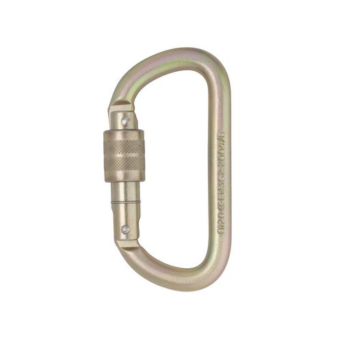 Locking carabiner - Equal D - DMM Professional - steel / oval