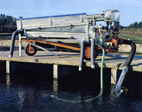 5-channel fish grader - Combinato - milanese italia - stainless steel / for salmon