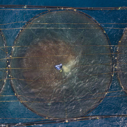 Submersible fish cage - SUBflex - Giliocean - plastic / round