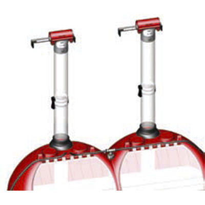 Pig feeder - Qingdao Chima Asia Machinery Co., Ltd - plastic / single access