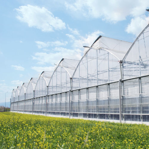 Multi-tunnel greenhouse - GHOTHIC - Invernaderos FERTRI - exhibition / plastic / steel frame