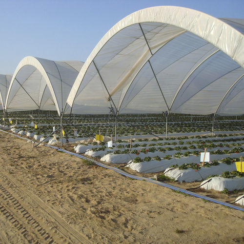 multi-tunnel greenhouse - Invernaderos FERTRI