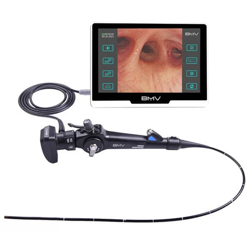 Flexible veterinary endoscope - BVI-11 series - bmv-vet - for small ...