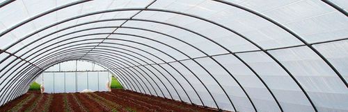 Tunnel type greenhouse - APT - NOVAGRIC (Novedades Agrícolas, S.A.) - plastic