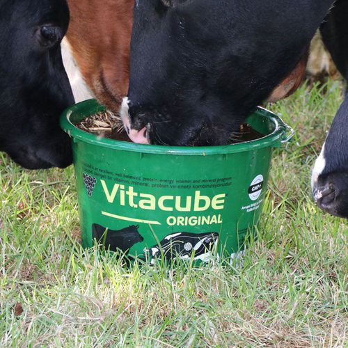 Cow mineral bucket Vitacube® farmann goat / for sheep / for horses