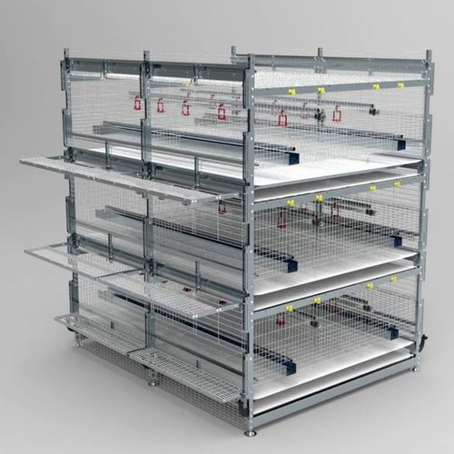 Convertible pullet farming system - Baby Belt Convertible - VALLI S.r.l - aviary / cages / multi-tier