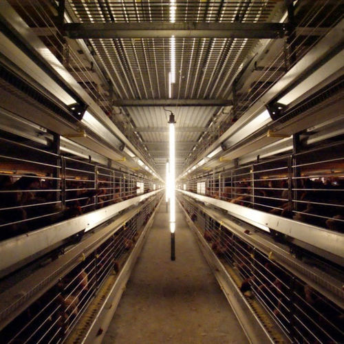 Barn lighting system - VALLI S.r.l - LED / programmable / for poultry