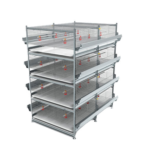 Convertible pullet farming system - Baby Belt - VALLI S.r.l - aviary / cages / multi-tier